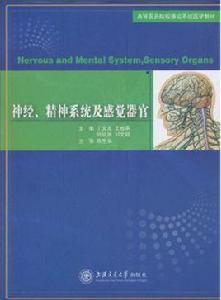 神經、精神系統及感覺器官