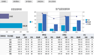 FineReport多維分析之按地區分析