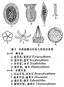 鈣質超微化石