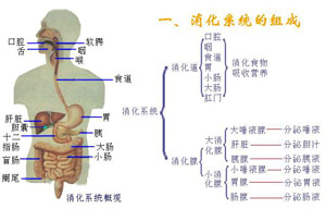 和美新