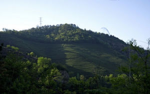 東白山自然保護區