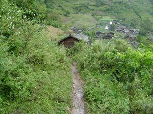 草坪村[雲南省大理洱源縣西山鄉下轄村]