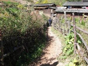 啊塔鐵村村內道路