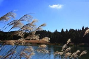 大山峰森林公園