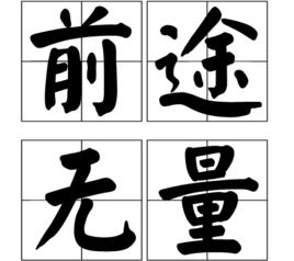 前途無量[漢語成語]