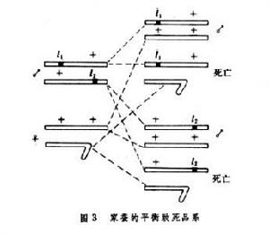 致死突變型