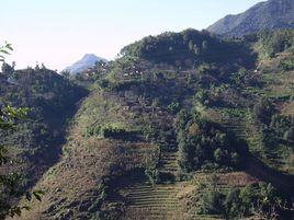 雞嘴山村