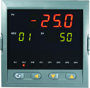 溫度控制系統儀表