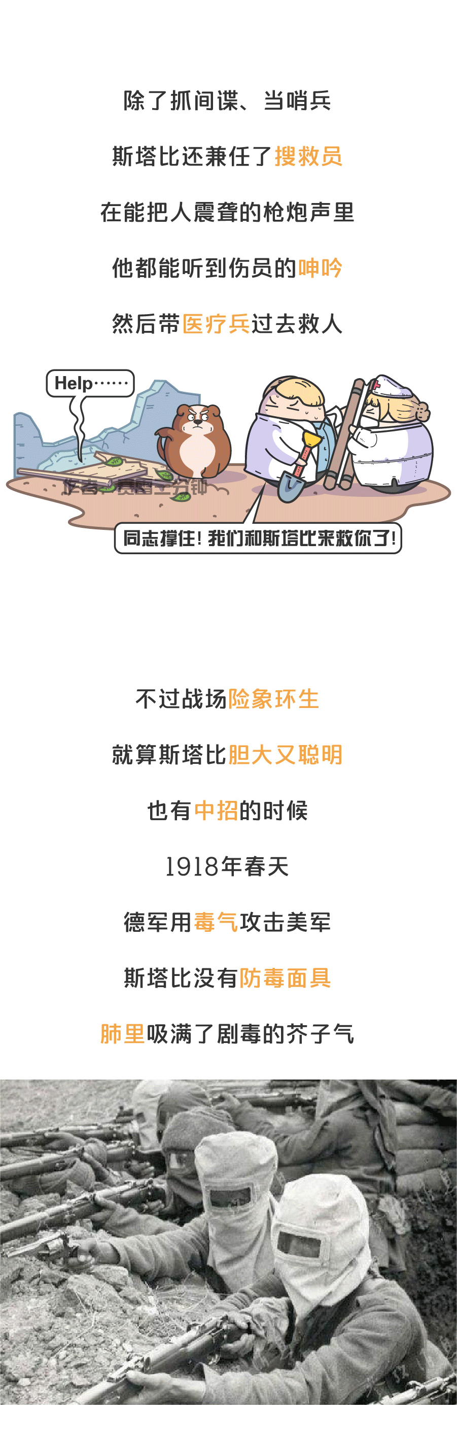 一條成為美國英雄的串串狗，三任總統都是它的鐵桿粉