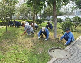 德州市住宅物業服務收費管理實施辦法