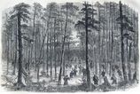 維沃的旅在薩拉卡其的衝鋒，1865