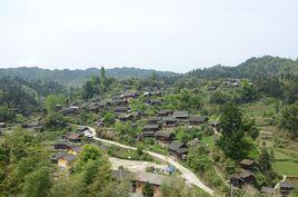 空申村