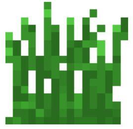 草叢[Minecraft中的一種物品]