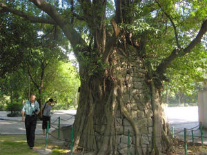 珠海唐家共樂園