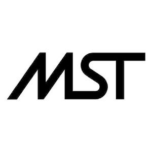 mst[金融公司]