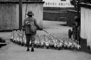 王捷[中國內地男歌手]