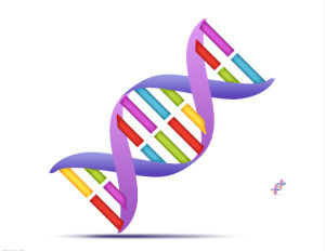 DNA