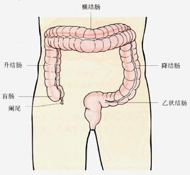 小腸結腸炎