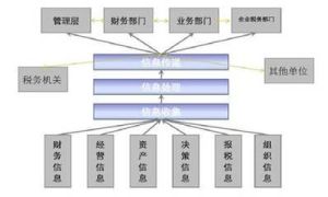 大企業稅務風險管理指引