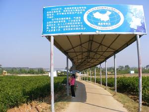 中華茉莉園