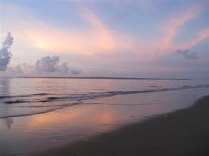 湛江龍海天