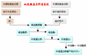 瀰漫性血管內凝血