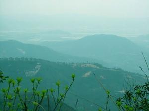 黃楊山