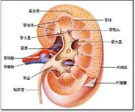 胸痹虛實兼證