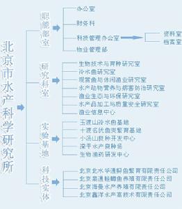 機構建制