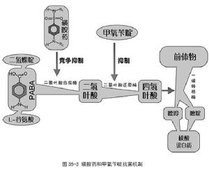 丙氟哌酸