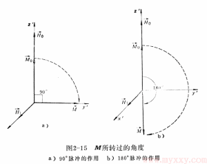 射頻波譜學