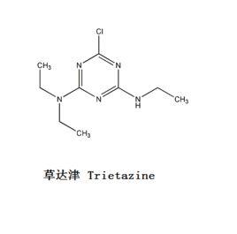 草達津