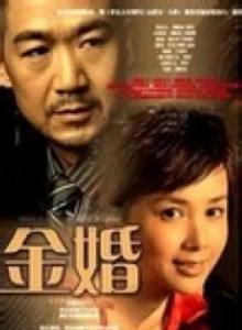 金婚[2007年張國立、蔣雯麗主演電視劇]