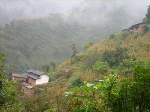 楊家箐村[雲南大姚縣灣碧鄉下轄村]