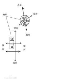 徑向[數學、物理領域專用概念]