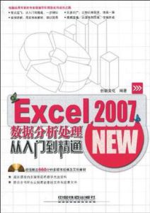 Excel2007數據分析處理從入門到精通