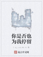 你是否也為我停留 你是否也為我停留