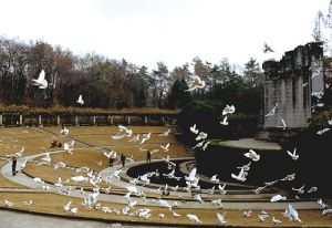 中山陵園風景區