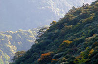 軍峰山國家森林公園