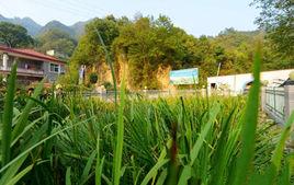 陳家河村[湖北省黃岡市英山縣孔家坊鄉陳家河村]