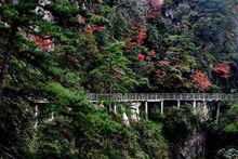 杜鵑山[風景區]