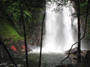 姑婆山國家森林公園