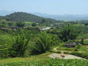 老馬田自然村