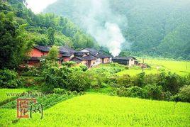 大溪村[福建省泉州市德化縣龍門灘鎮下轄村]