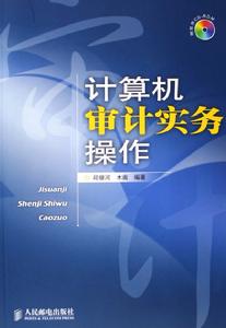 計算機審計實務操作