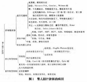 新生兒遷延性膽汁淤積性黃疸