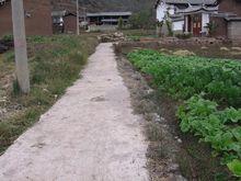 進村道路