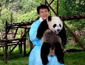 成龍曾擔任成都熊貓大使