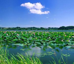 金平風景