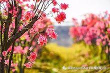 郭店村水雲山生態園